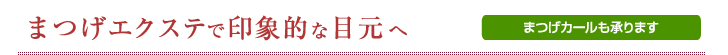 まつげエクステ、まつげカールも承ります